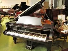 STEINWAY D