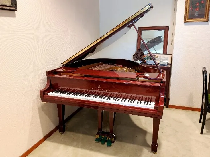 STEINWAY S