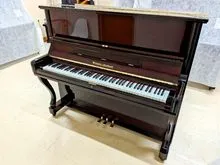 WISTARIA RU30M/60039