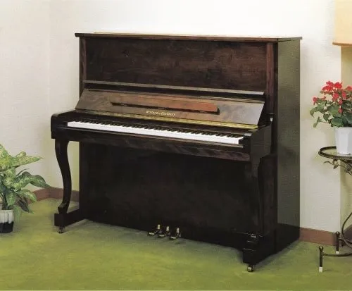 ウイスタリアピアノ　K110W