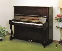 ウイスタリアピアノ　K110W