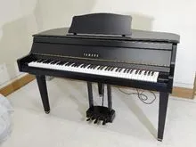 YAMAHA DGP-1