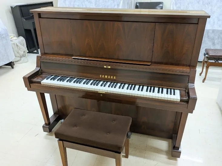 ヤマハ(YAMAHA)W102BW